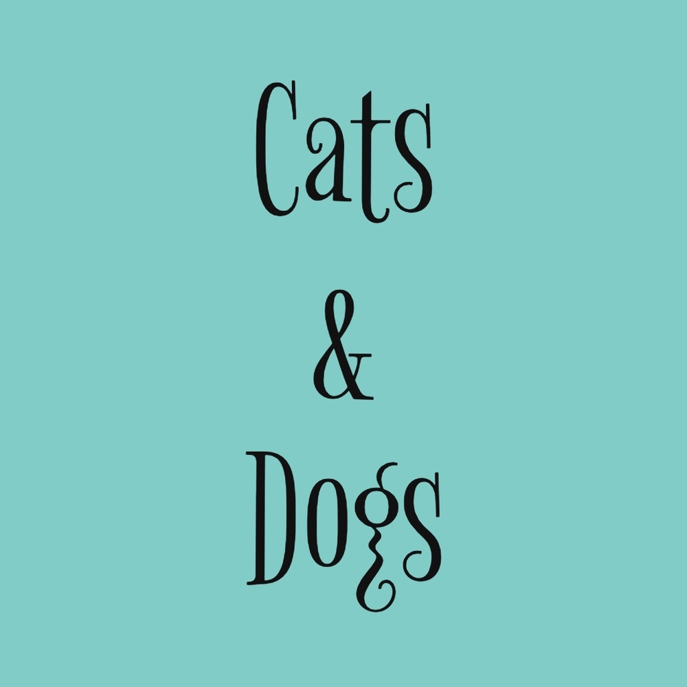 Cats & Dogs items - Picture 2 of 2